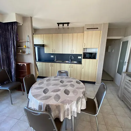 Apartment 2 Slaapkamer Op De Dijk Westende Met Frontaal Zeezicht