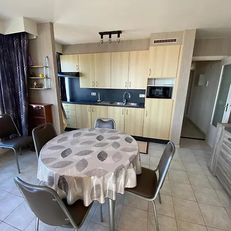 2 Slaapkamer Op De Dijk Westende Met Frontaal Zeezicht Apartment