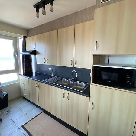2 Slaapkamer Op De Dijk Westende Met Frontaal Zeezicht Appartement *